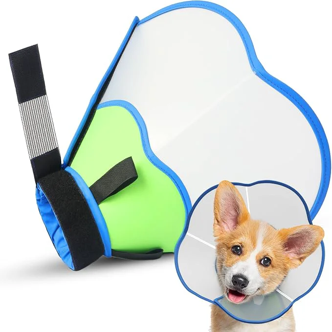 Contemporary Hard Heavy Plastic Dog Cone Collar Advanced