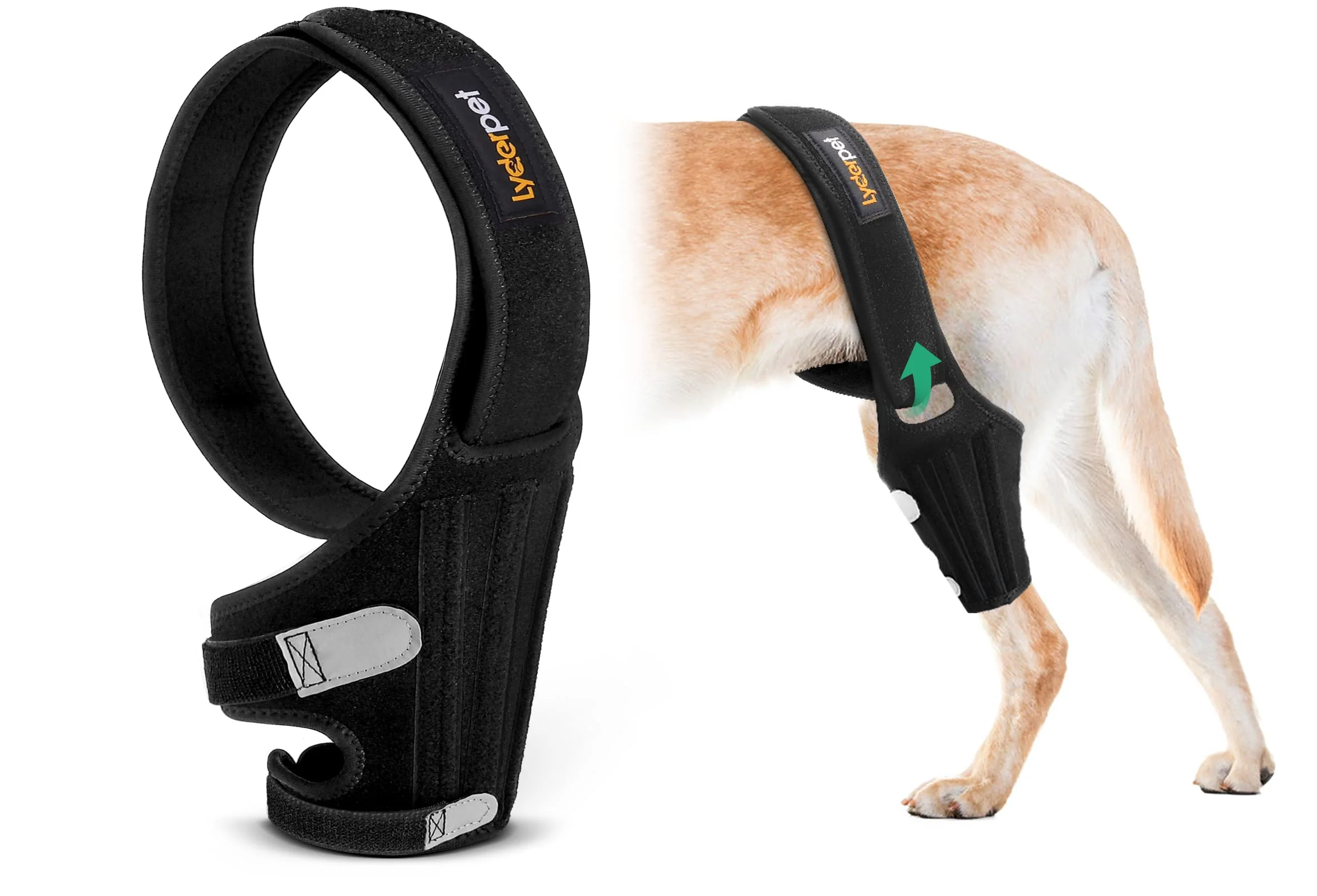 Detailed Lyderpet Dog Knee Brace for Torn ACL – Rear Leg Support Easy On Off Secure