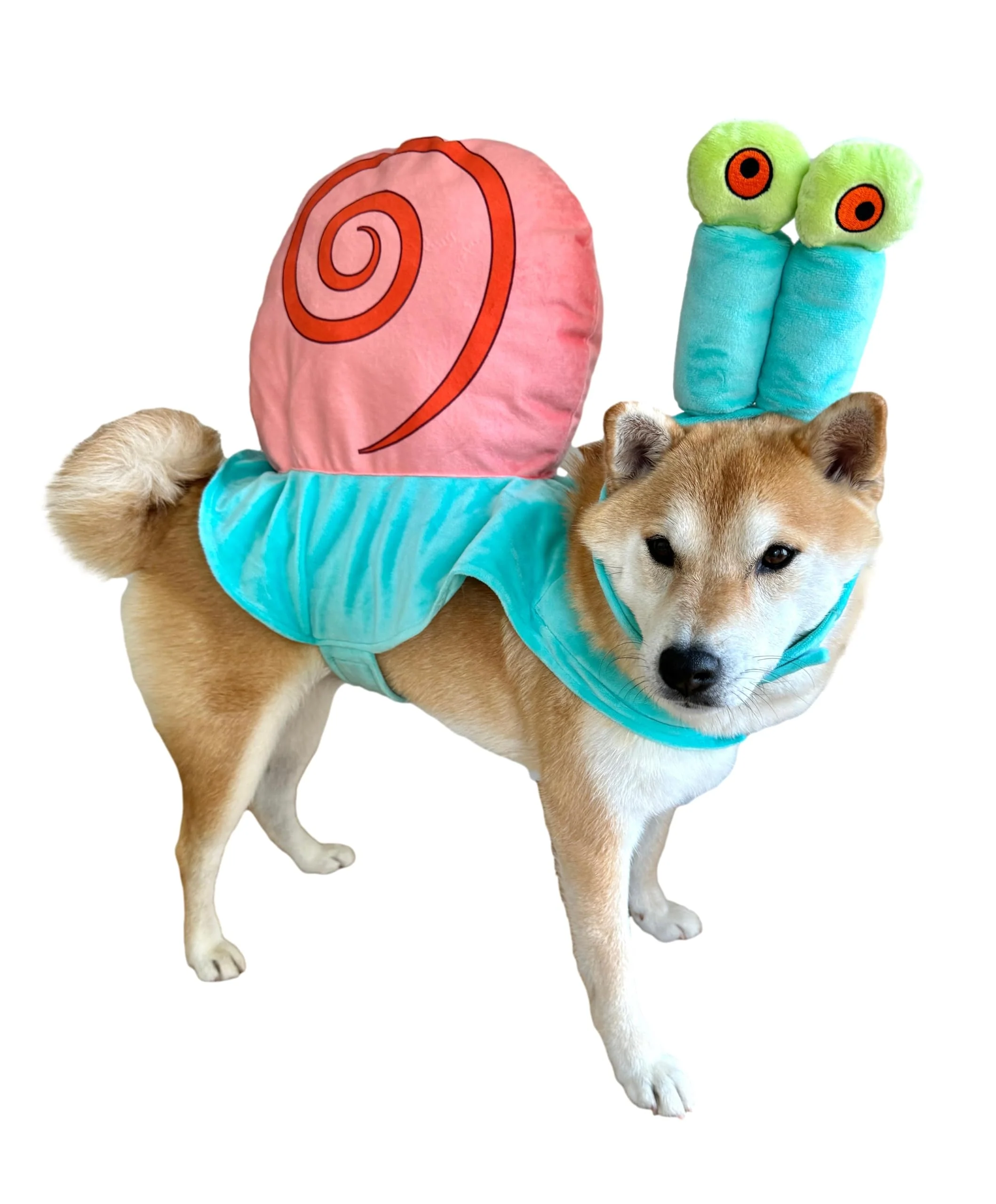 Long-Lasting ComfyCamper Dog Sea Snail Costume – XS to XXL Pet Cosplay Reliable