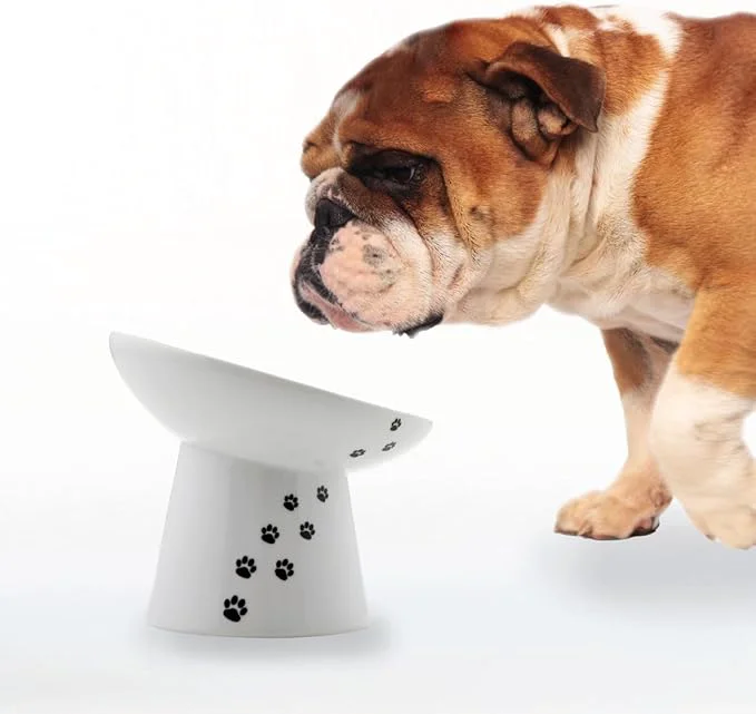Prestigious Necoichi Raised Dog Food Bowl d for Dogs and Cats Pets Feeding Feeder Non-Slip for Small Dogs Dishwasher and Microwave Safe No.1 Seller in Japan Dog Extra Wide Tilted About ThisOverview High-End