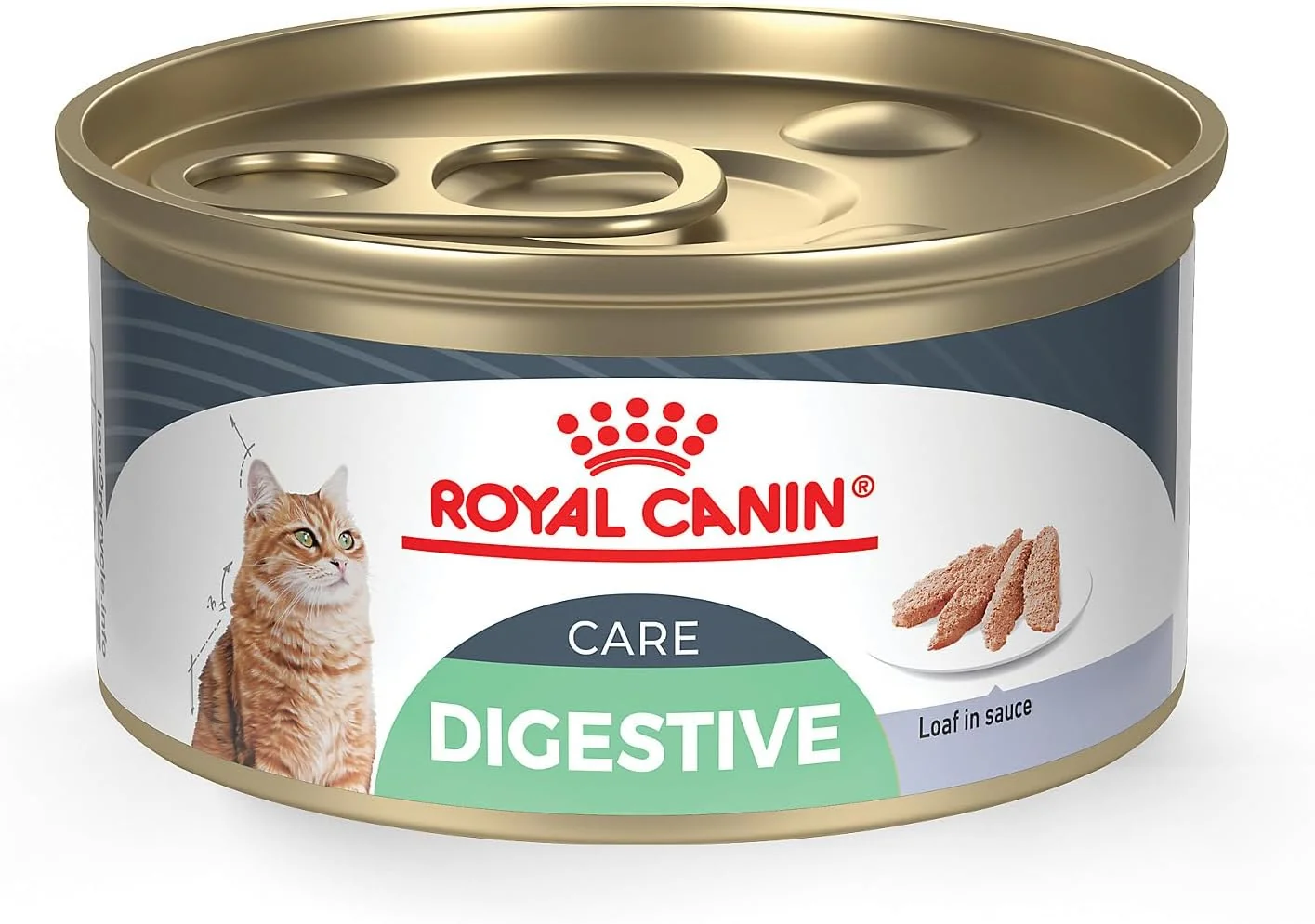 Fashionable Royal Canin Feline Care Nutrition Digest Sensitive Loaf in Sauce Canned Cat Food 3 oz. Case of 24 Consistent