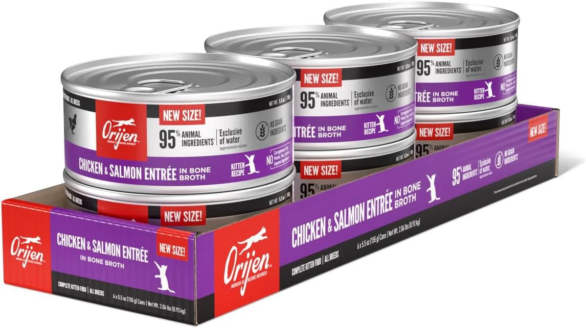High-Grade ORIJEN Premium Pate Wet Kitten Cat Food in Bone Broth Chicken Salmon Entrée 5.5oz Cans 6 Count Enhanced