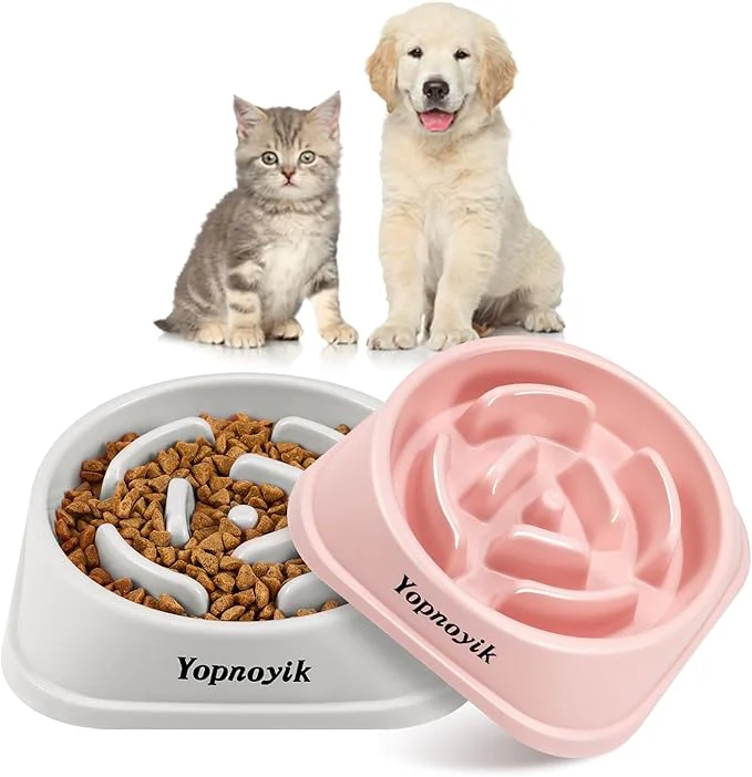 Exclusive 2 Pack Slow Feeder Dog Bowls for Healthy Eating Non-Slip and Anti-Choking Design Reduces Bloating Overeating for Small Dogs Easy to CleanAbout ThisOverview First-Class