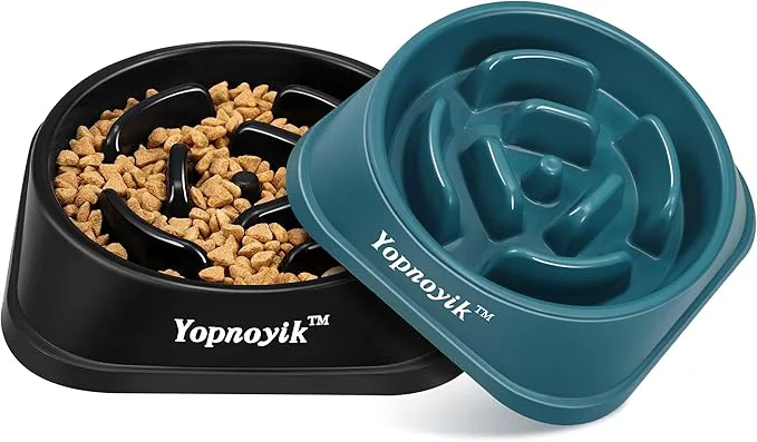 Fast 2 Pack Slow Feeder Dog Bowls for Healthy Eating Non-Slip and Anti-Choking Design Reduces Bloating Overeating for Large Dogs Easy to CleanAbout ThisOverview Prestigious