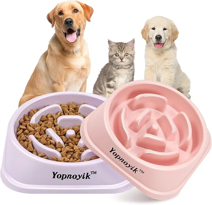 Fast 2 Pack Slow Feeder Dog Bowls for Healthy Eating Non-Slip and Anti-Choking Design Reduces Bloating Overeating for Medium Dogs and Cats Easy to CleanAbout ThisOverview Original