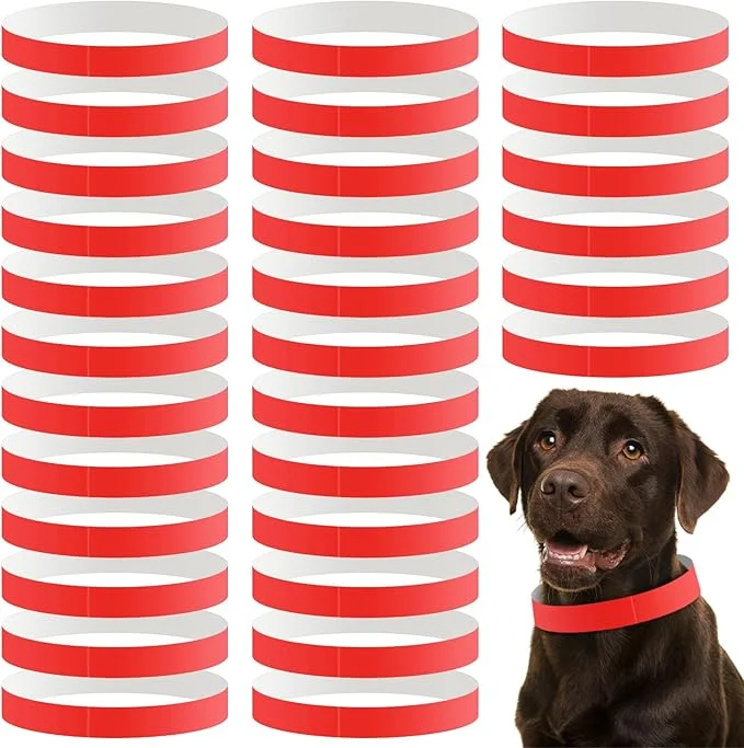 Recyclable 500 Count 20inch Adjustable Paper Dog Collars Carefully Designed