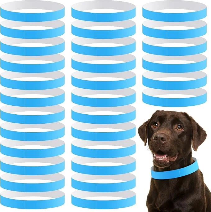 Prestigious 500 Count 20inch Adjustable Paper Dog Collars Comfortable
