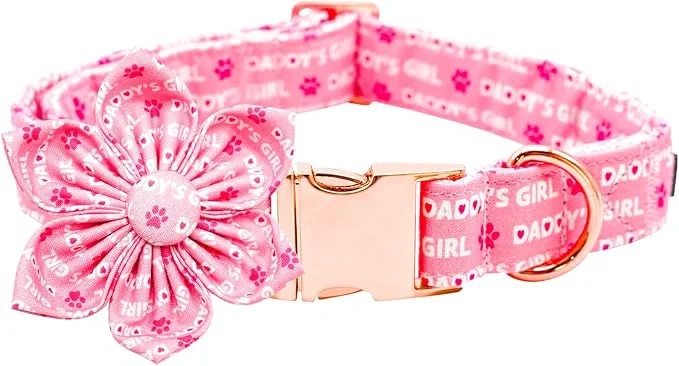 Unique Lionheart glory Valentine’s Day Dog Collar Professional