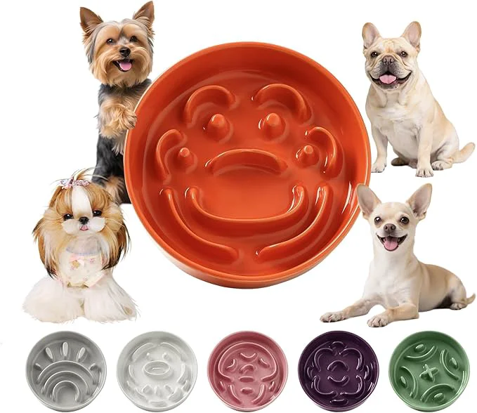 Excellent Ceramic Slow Feeder Dog Bowl – Feeding Dish for Fast Eaters – Maze Dog Bowl to Slow Down Eating – I Food Control Dish for Small Breeds – 0.8 Cups 80g – 6.3 Inch – OrangeAbout ThisOverview High-Performance