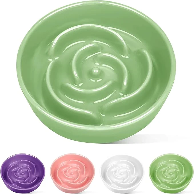 High-Grade TRUVIC Ceramic Slow Feeder Dog Bowls Small Breed 0.6 Cup Slow Feeder Cat Bowls for Fast Eaters Ceramic Dog Food Dish no Black Chin Puzzle Bowl for Small Dogs and Cats GreenAbout ThisOverview Smooth