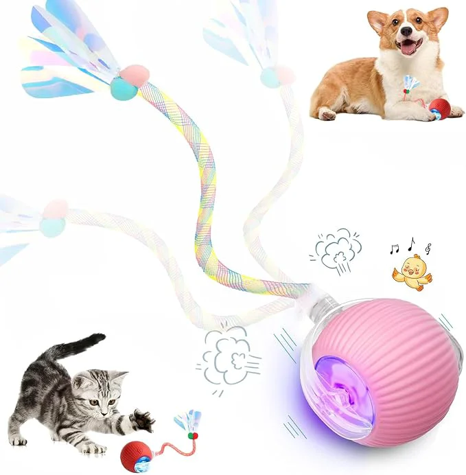 Trusted Speed 2.0 Tail Interactive Cat Toys Detailed