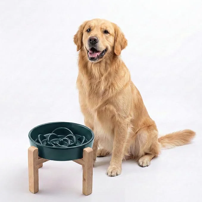 Lightweight Petygooing 8.66 in Dog Bowl Ceramic Slow Feeder for Medium Large Dogs d Raised Slow Feeding Dog Food Water Dish Heavy Weighted Puzzle Eating Bowl Modern Maze Green 8.66in About ThisOverview User-Friendly