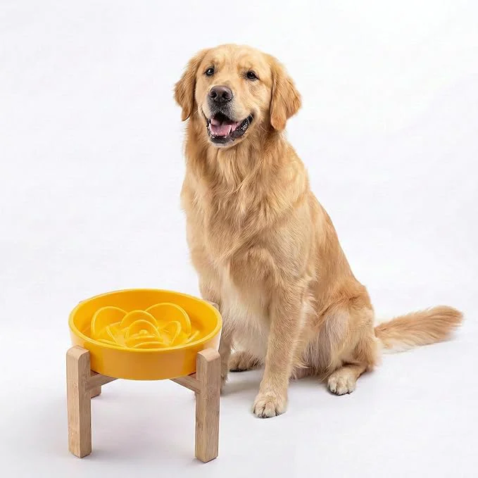 Classic Petygooing 8.66 in Dog Bowl Ceramic Slow Feeder for Medium Large Dogs d Raised Slow Feeding Dog Food Water Dish Heavy Weighted Puzzle Eating Bowl Modern Maze Yellow 8.66in About ThisOverview Sustainable
