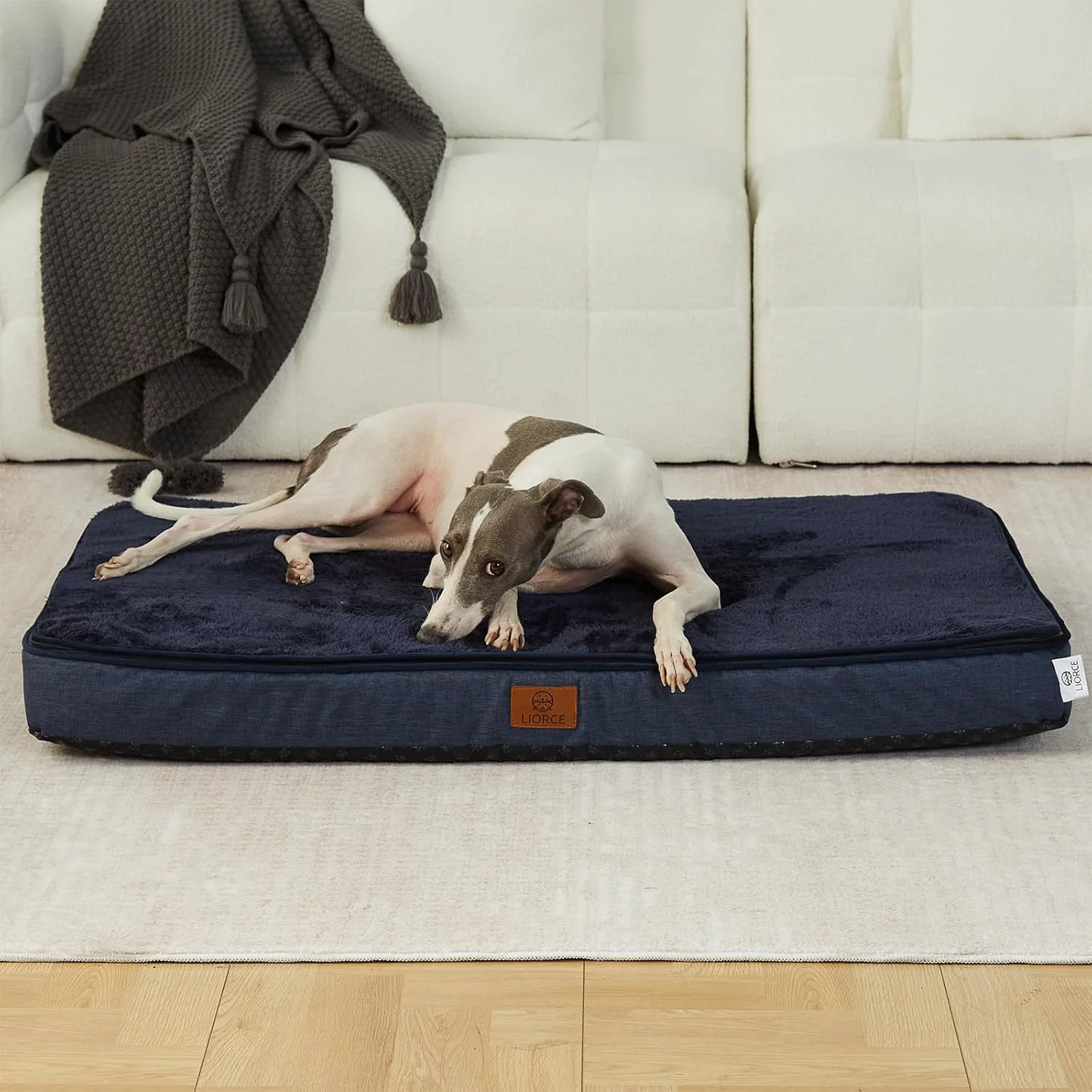 Elite Memory Foam Large Dog Bed – 4 Thick Orthopedic Beds for Large Dogs – Waterproof Dog Bed with Removable Washable Cover Wrap-Around Zipper – Comfort and Easy Maintenance Trendy