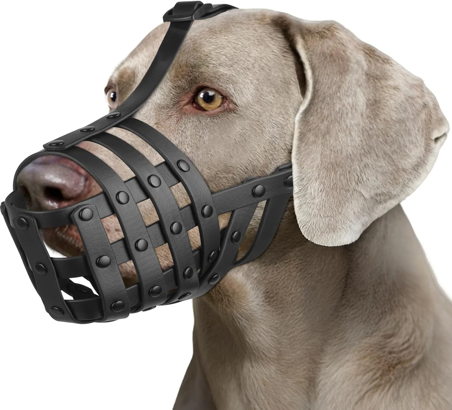 User-Friendly Mayerzon Dog Muzzle for Medium Large Dogs Humane Basket Muzzle Soft Lightweight Adjustable Anti Biting Chewing Eating Suits Training Walks Grooming Vet Visits Drink Pant Easily Black L Next-Generation
