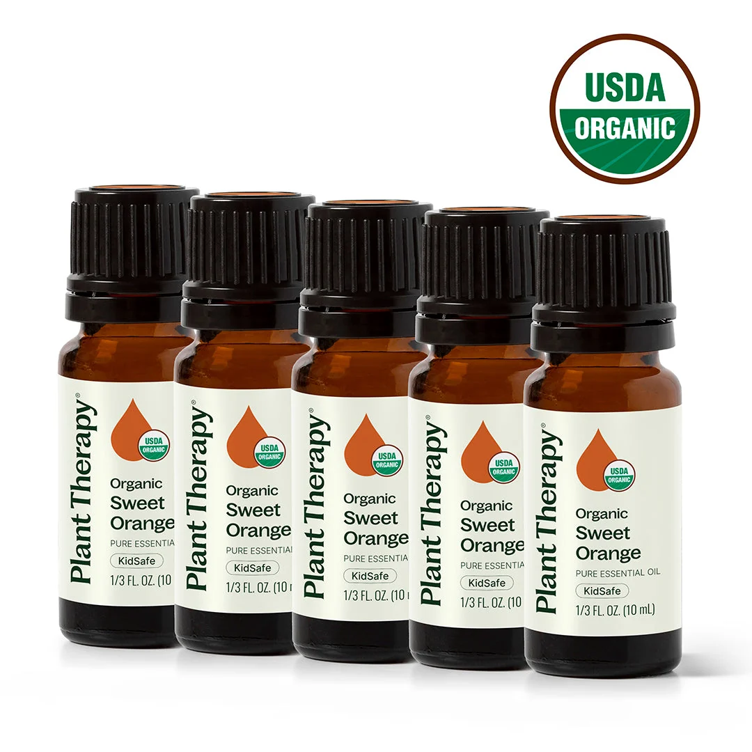 Contemporary Organic Sweet Orange 5-Pack Modern
