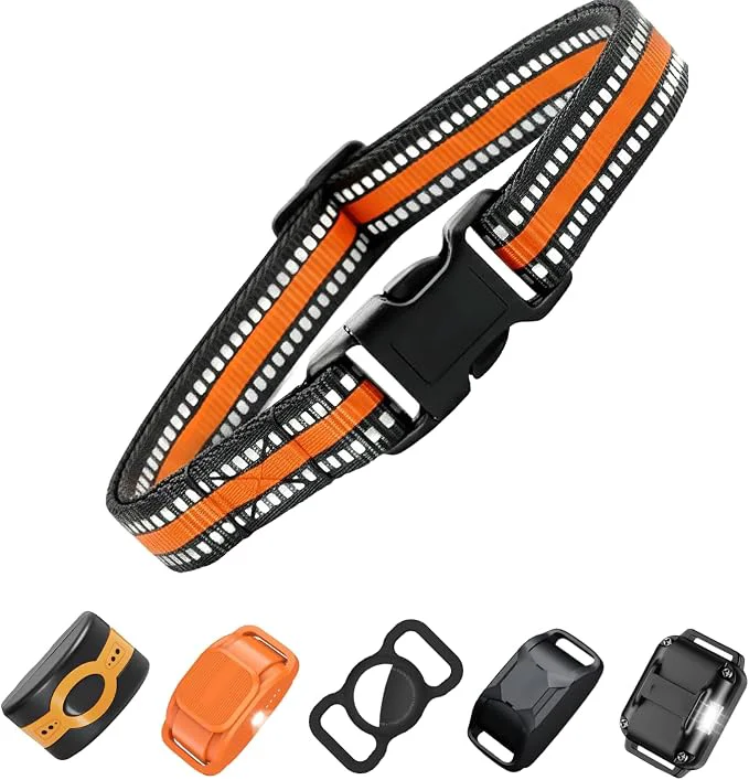 Innovative Dog Training Collar and Shock Collar Strap High-Quality