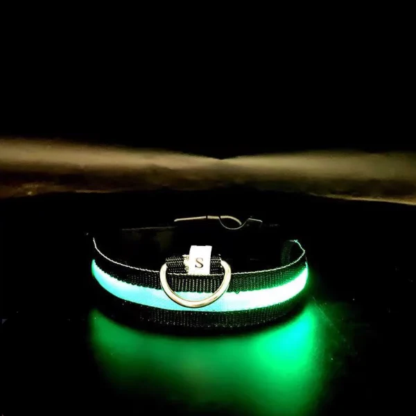 Practical Milou Lumi LED Glowing Pet Collar – Rainbow Refined