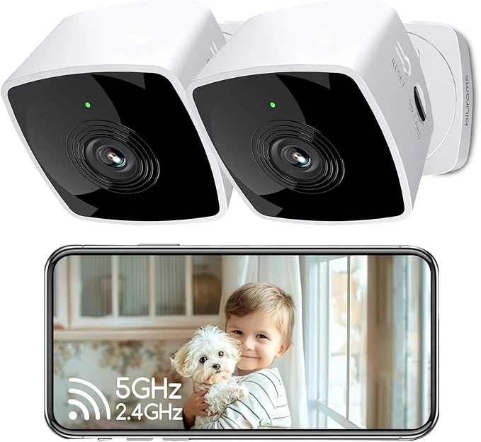 Healthy blurams Cameras for Home Security 5G 2.4G 2K Security Camera Indoor Pet Camera with Phone App Indoor Camera w AI Motion Detection 2-Way Audio Compatible with Alexa Google Home AssistantAbout ThisOverview Environmentally Friendly