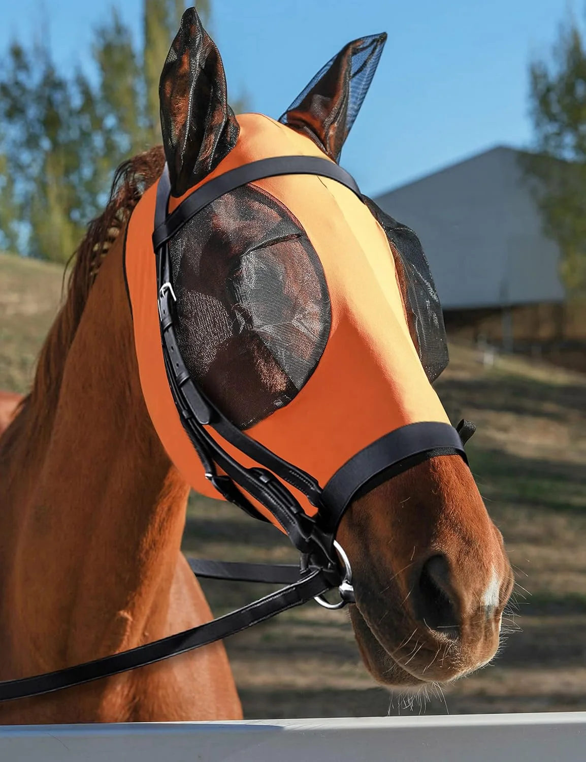 Proven Horse Fly Mask with Ears UV Protection Mask for Horses Elasticity Mask with Big Mesh Eye Covers Snug Fitting Comfortable Lightweight Red Orange Cob Dependable