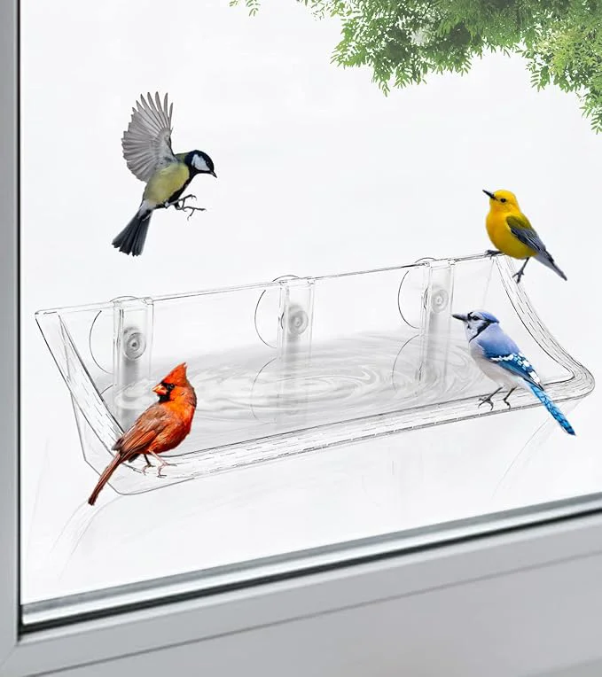 Lightweight Clear Window Mounted Bird Feeder Bath Eco-Friendly