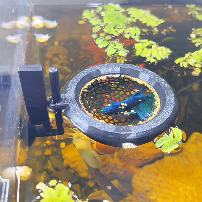 Prestigious Fish Tank Floating Betta Hide，Betta or Shrimp Burrows and Hammock Fish and Exceptional