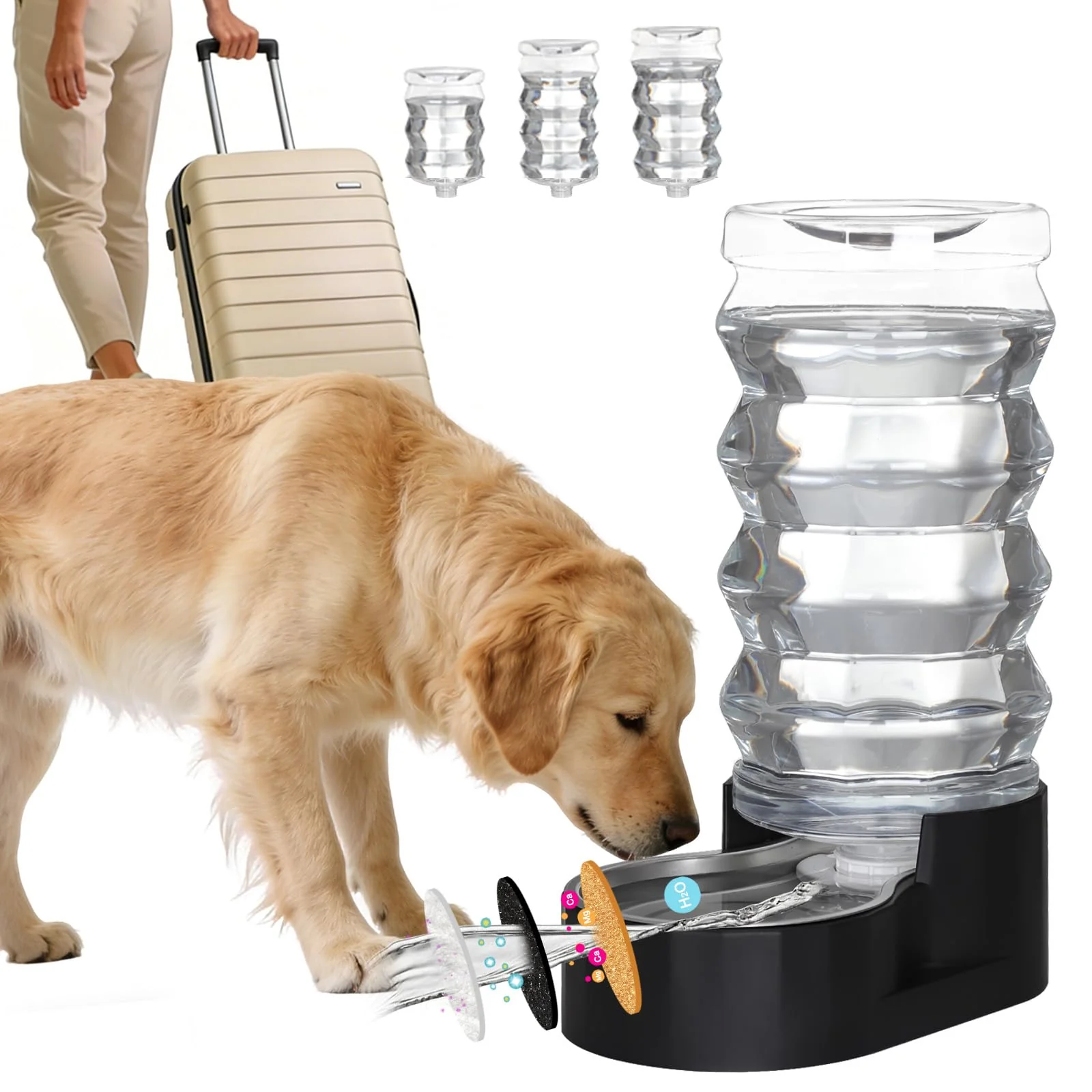Advanced RIZZARI 9L Large Dog Water Dispenser – Stainless Steel Gravity Feeder Trendy