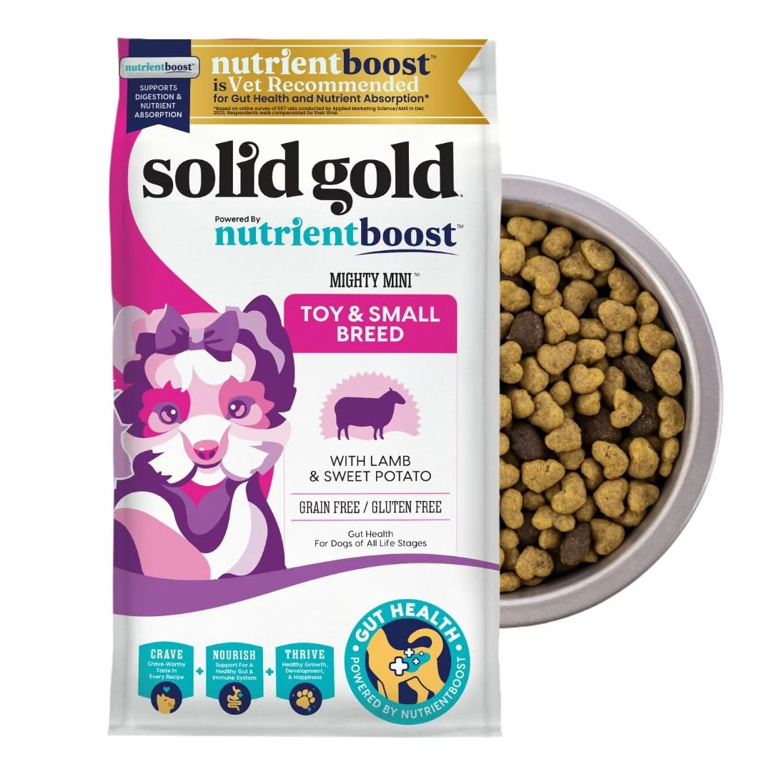 Sophisticated Solid Gold Toy Small Breed Dry Dog Food with Lamb Grain Probiotics – 11LB Durable
