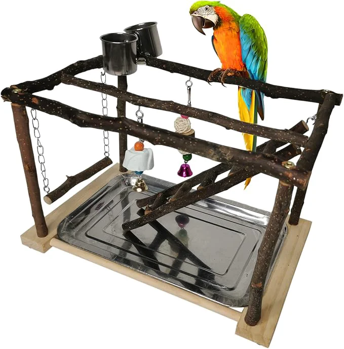 High-Performance Tfwadmx Parrots Playstand Bird Play Gym Cockatiel Playground Wood Perch Stand Certified