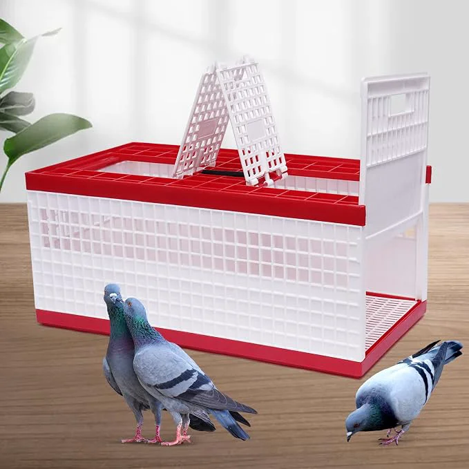 User-Friendly Folding Pigeon Cage with Handle Portable Plastic Bird Travel Carrier Cage with Environmentally Friendly