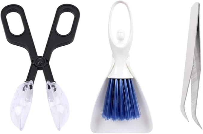 Comfortable Tiny Cleanning Broom Scooper Feeding Tool Mini Dustpan and Brush Stainless Prestigious
