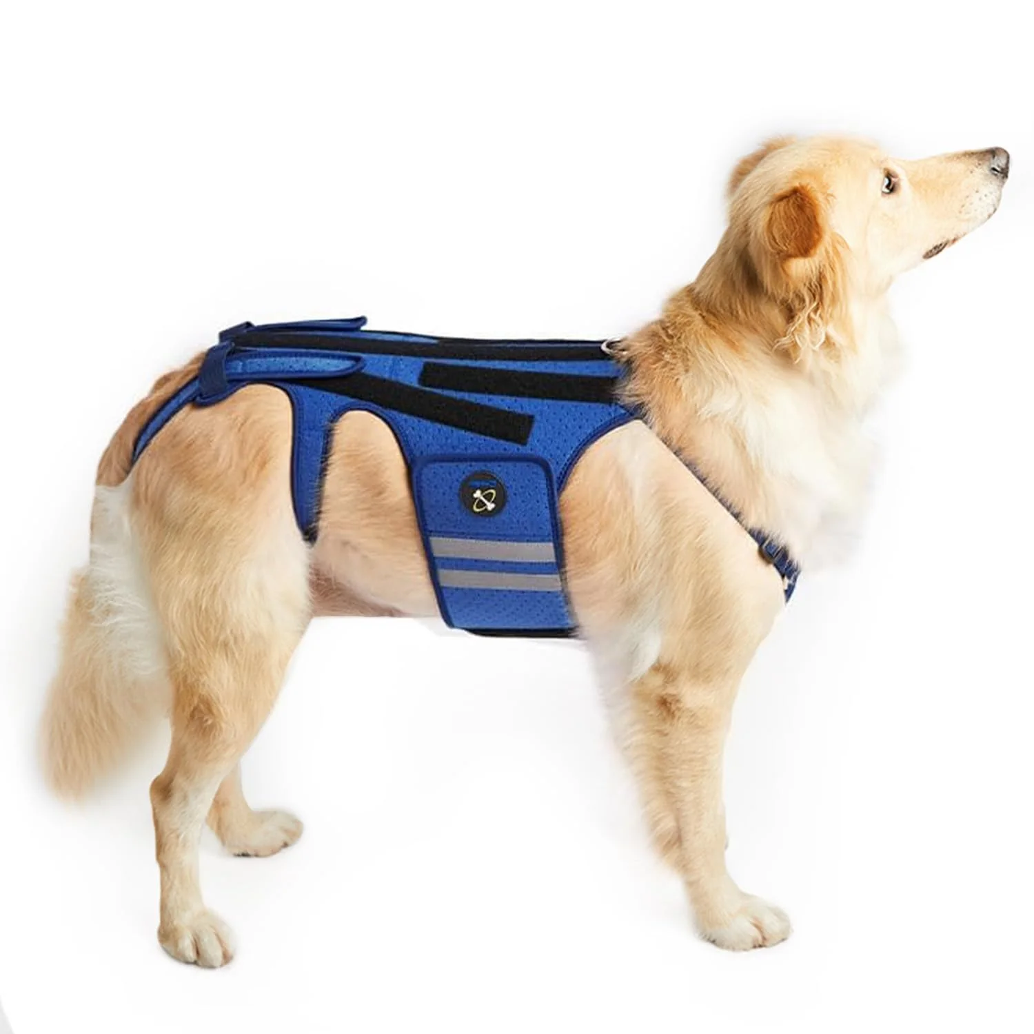 Breathable Coodeo Dog Back Brace for IVDD Arthritis – Pain Relief Recovery Effective