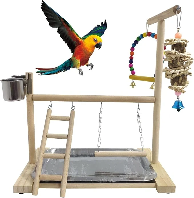 Enhanced Hamiledyi Bird Playground Parrots Play Stand Natural Wooden Parrot Perch Gym Exceptional