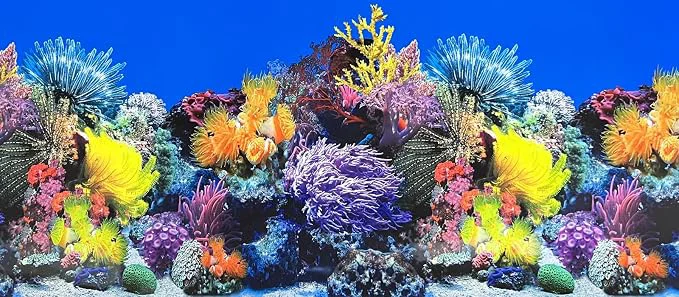Original Design Fish Tank Background Sea Anemone Coral Theme Aquarium Background Poster Fish Sustainable