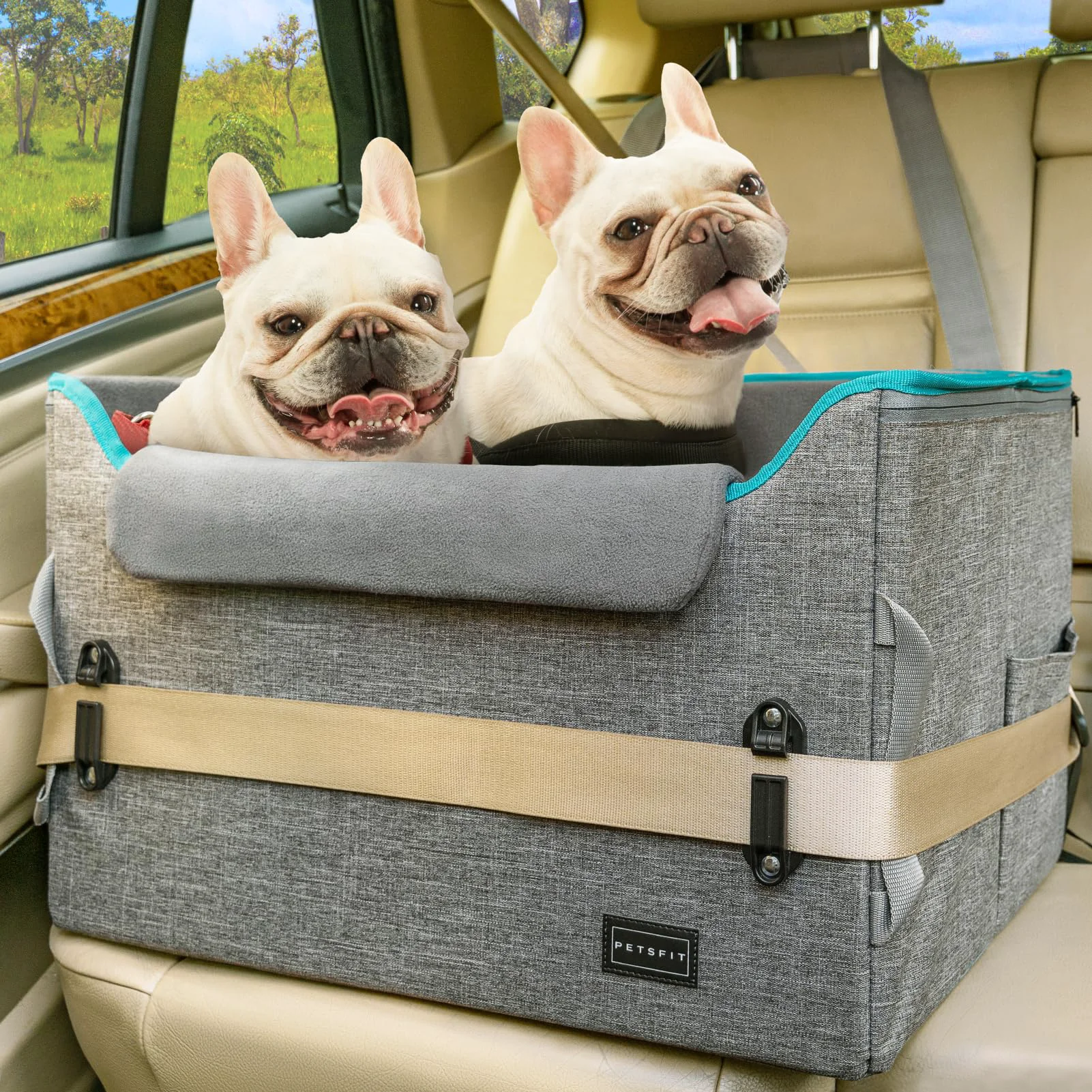 Easy-to-Use PETSFIT Dog Booster Car Seat for Medium Dogs – Safe d View 2 Leashes Soft