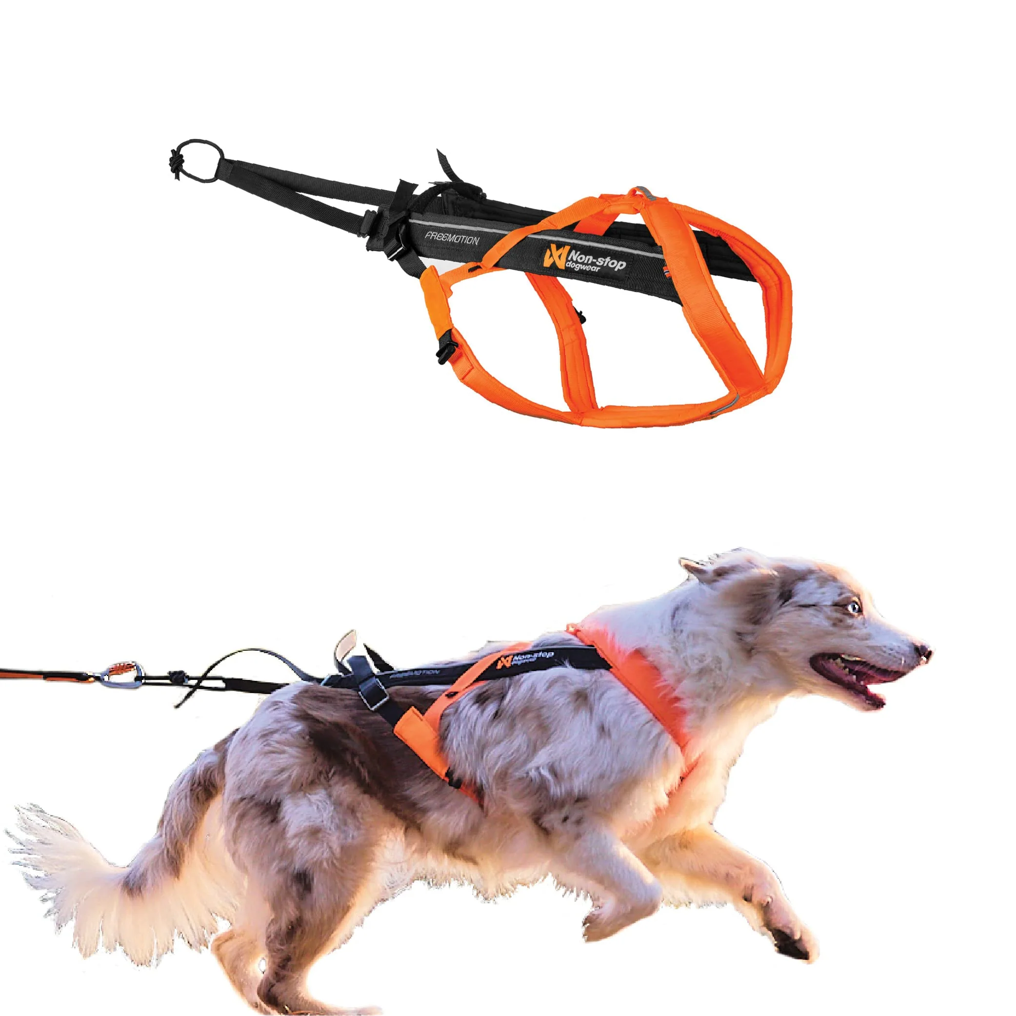 Certified Non-stop dogwear motion Harness 5.0 – Adjustable Dog Harness for Running Biking Skiing Orange Black Size 3 High-Grade