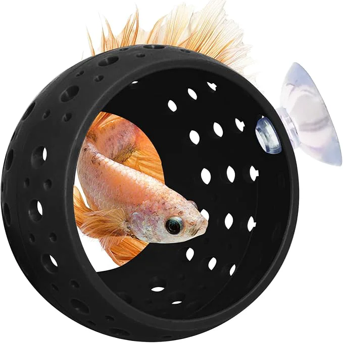 Quality Fhiny Betta Tunnel Aquarium Fish Hideout Healthy