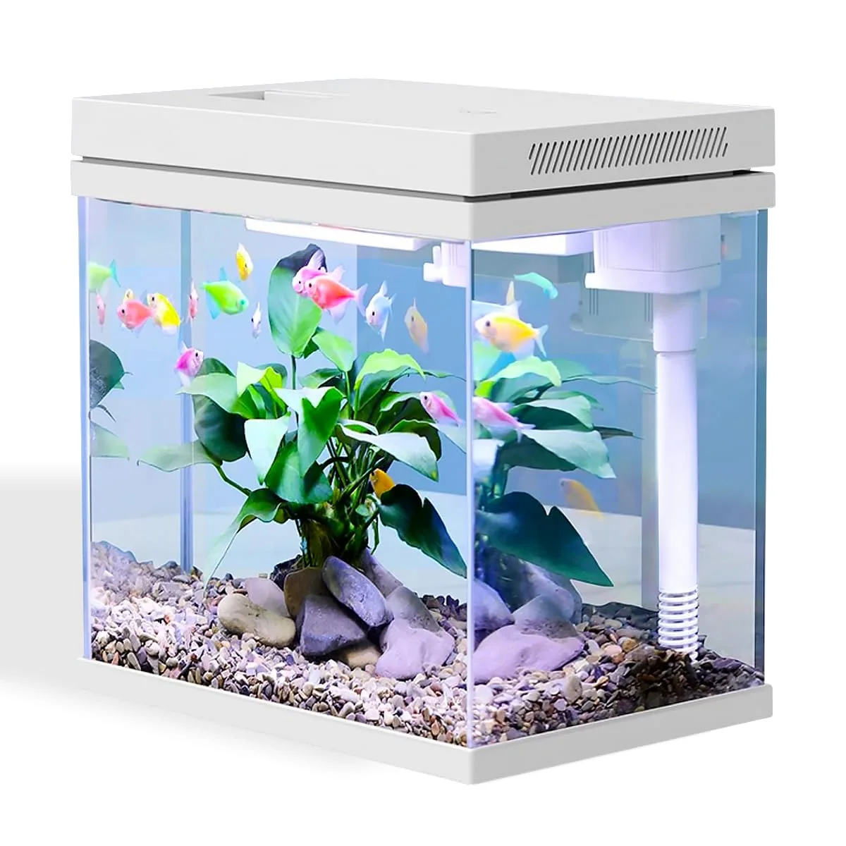 Top-Quality Craftsboys 4 Gal Nano Fish Tank Kit Upgrade Filter LED Light Easy-to-Use