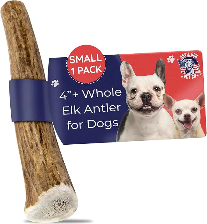 Original Devil Dog Pet Co – Elk Antler for Dogs Small – Long Lasting Dog Chew for Aggressive Chewers Toy Small Breeds – Naturally Shed Grade A Rocky Mountain Elk Anxiety Boredom Relief Up to 20 lbs About This Smooth