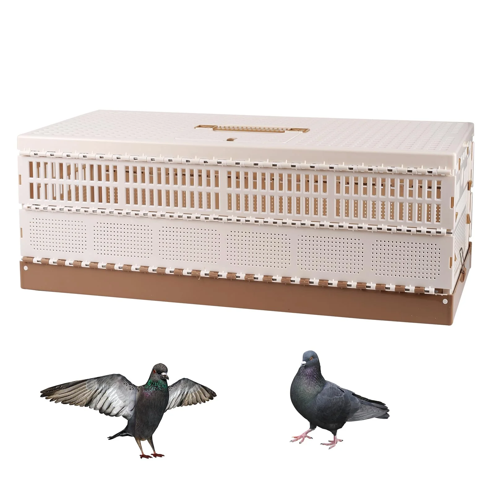 Casual TOHONGADON Plastic Folding Pigeon Cage – Portable Travel Carrier XL 12–18 Pigeons Fine