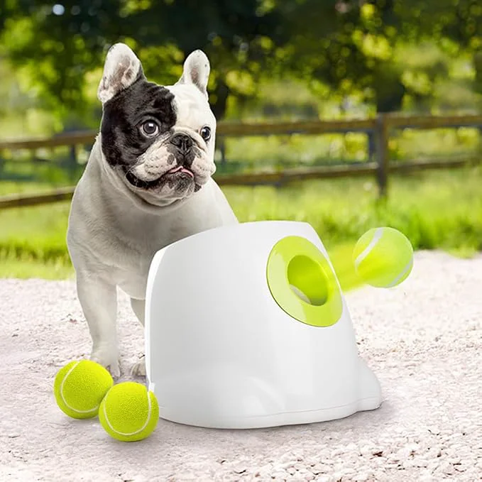 Clean ALL FOR PAWS Dog Automatic Ball Launcher for Small and Medium Dogs Breathable