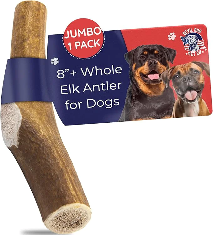 Innovative Devil Dog Pet Co – Elk Antler for Dogs Jumbo – Long Lasting Natural Dog Chew for Power Chewers Large to XL Breeds – Naturally Shed Grade A Rocky Mountain Elk Anxiety Boredom Relief 70-95 lbs About This Soft