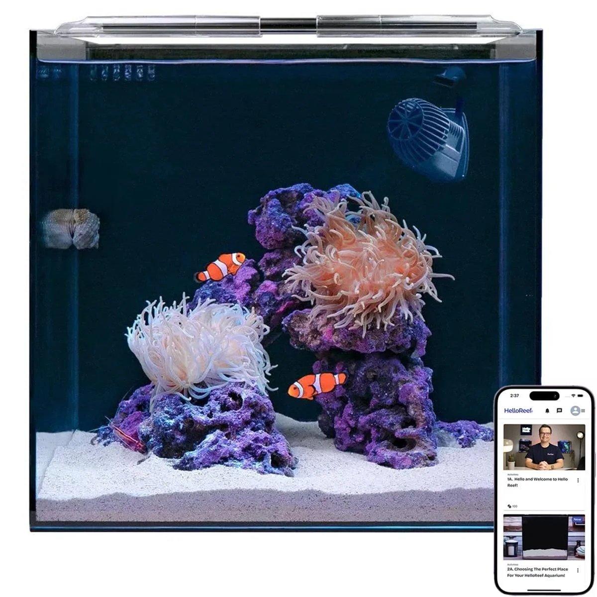 Elite HelloReef 15-Gallon Beginner Clownfish Saltwater Aquarium Kit App-Controlled LED Lighting Top-Quality