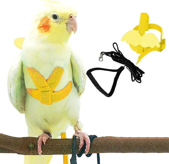 Relaxed Dnoifne Pet Parrot Bird Harness and Leash Adjustable Training Design Anti-Bite Recyclable