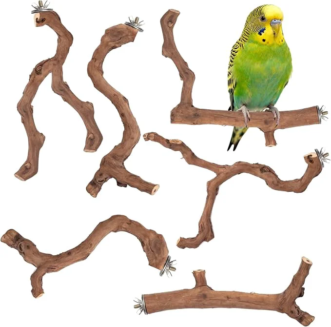 World-Class 6-Piece Premium Bird Perch Stand Certified