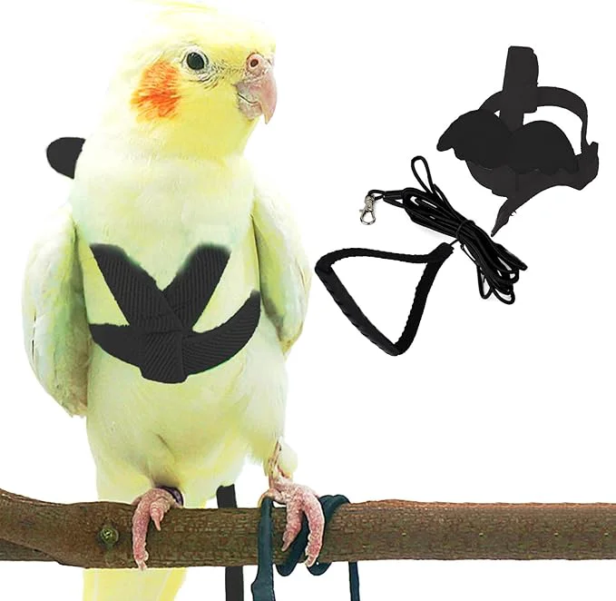 Crafted Dnoifne Pet Parrot Bird Harness and Leash Adjustable Training Design Anti-Bite Fast