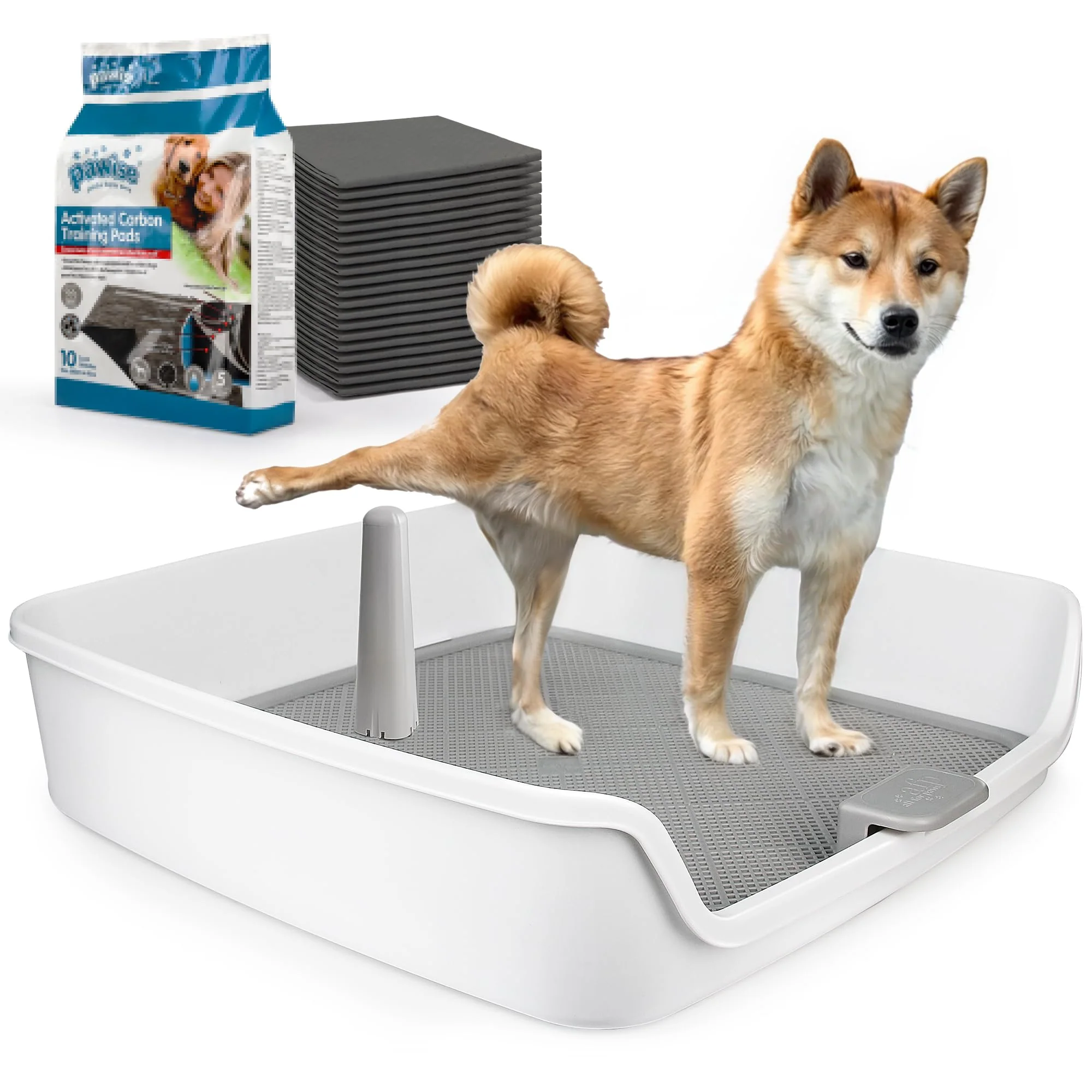 Trusted ALL FOR PAWS Pee Pad Holder XL – 25 x 25 Potty Tray for Dogs of All Sizes Long-Lasting