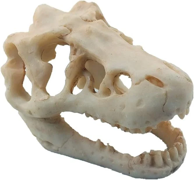 Elegant Resin Dinosaur Skull Aquarium Ornament Mini Dinosaur Tank Decoration Betta Fish Trusted