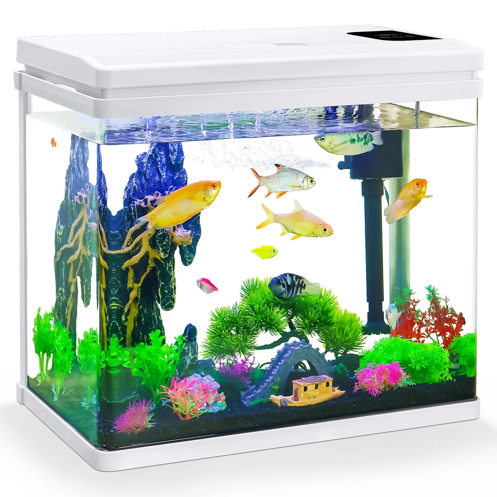 Clean BINANO 10-Gallon Betta Tank with Pre-Set Lighting 7 LED Colors User-Friendly