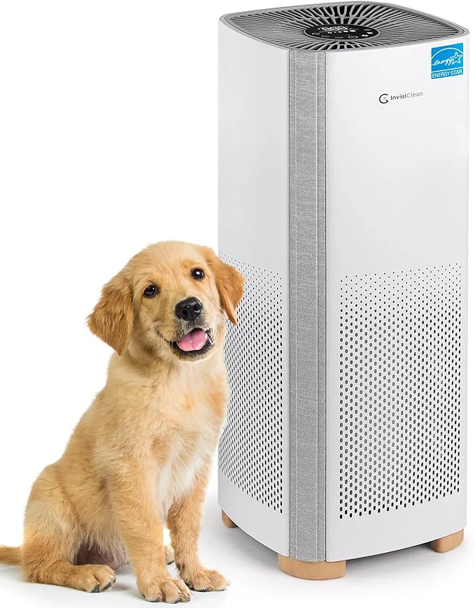 Versatile Air Purifiers for Home Large Room Covers 1500 Ft² H13 Medical Grade True HEPA Premium Material